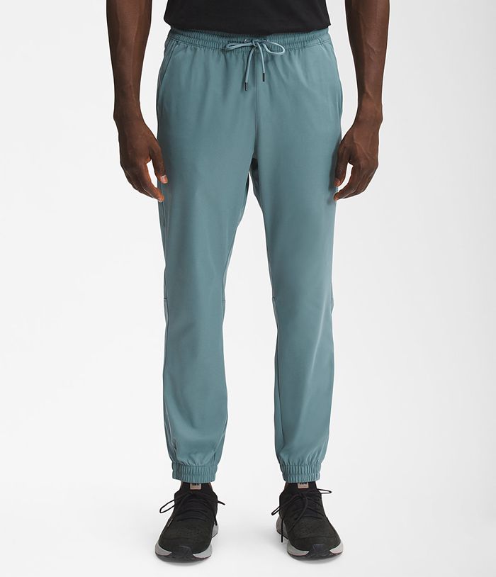 The North Face Mens Pants Standard Jogger 263YNAMHF - Blue